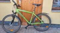 Fahrrad 26" , Mountainbike , Jugendfahrrad Sachsen-Anhalt - Halberstadt Vorschau