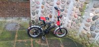 Kinderfahrrad, BMX- Rad, 14 Zoll Iron Horse mit Sattel Gazelle Brandenburg - Schollene Vorschau