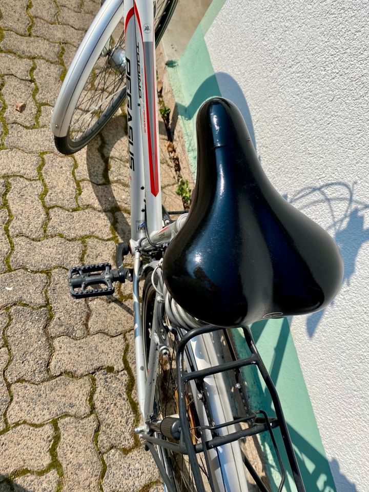 Fahrrad Pegasus Treckking Torino TOP GEPFLEGT in Waldaschaff