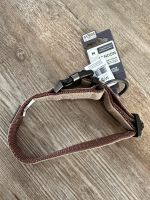 More for Dogs Halsband Gr. M beige/braun Sachsen-Anhalt - Wolmirstedt Vorschau