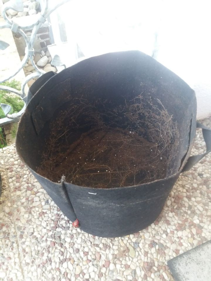 Blumenkübel Pflanzkübel Pflanzensäcke 30 Liter Vlies Root Nurse in Edenkoben