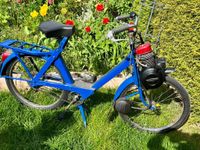 Velo Solex mit Papiere Motor neu aufgebaut im Preis gesenkt Saarland - Friedrichsthal Vorschau