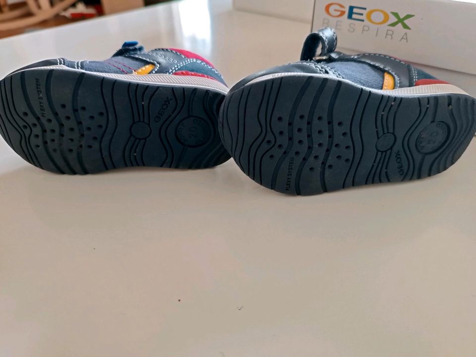 Geox Respira Sneaker neuwertig Gr. 20 in Eckersdorf