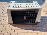 Hundebox XXL Hessen - Felsberg Vorschau