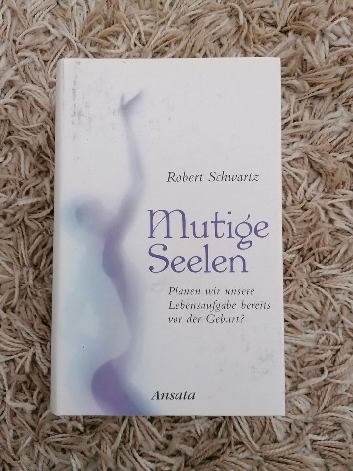 Mutige Seelen Robert Schwartz in Gottmadingen