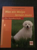 Die Hundeschule * Was ein Welpe lernen muss * Nordrhein-Westfalen - Hünxe Vorschau
