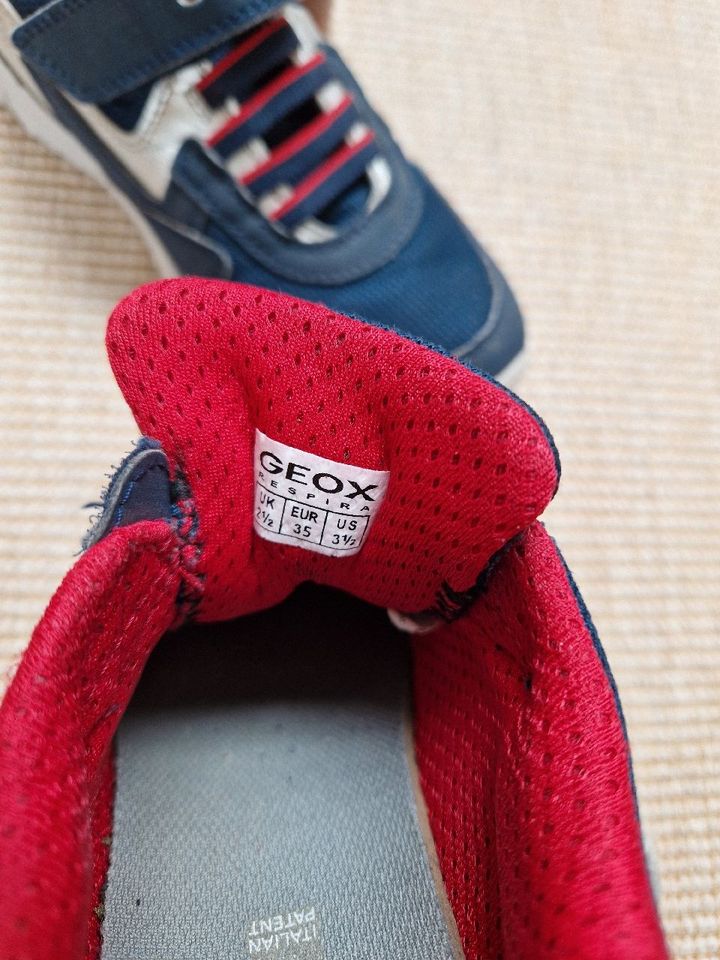 Geox  Sneaker "New Torque" Gr. 35 blau-rot in Griesheim