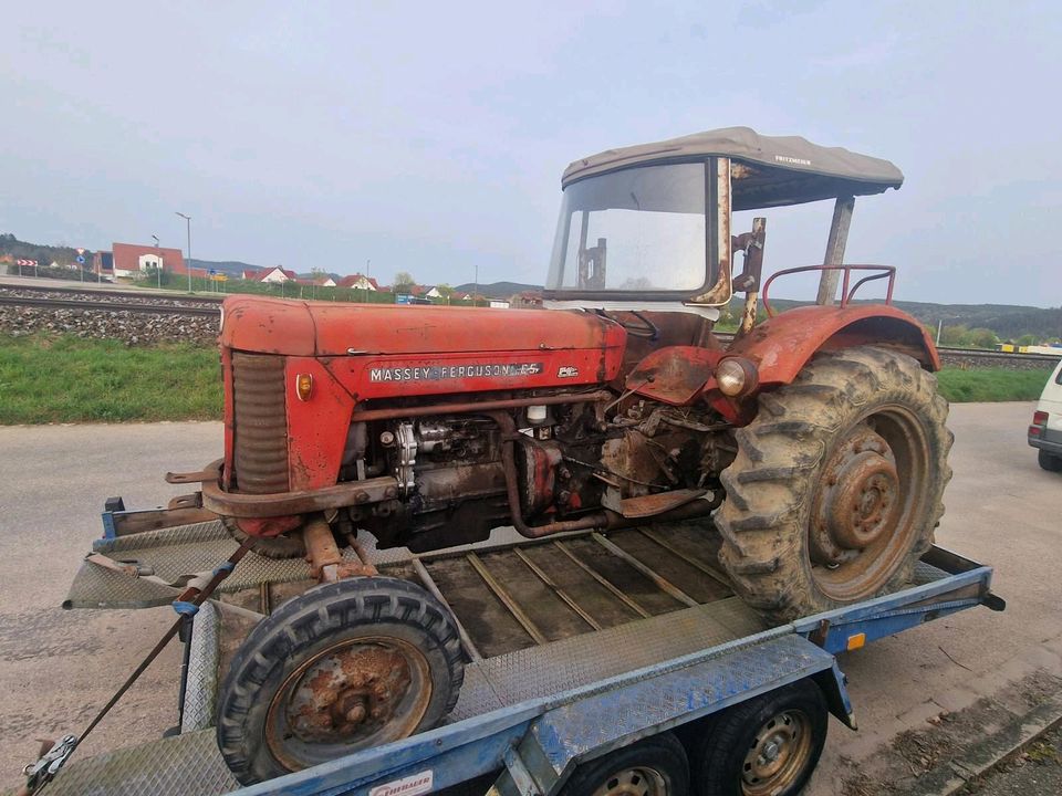 Massey Ferguson 65 in Regenstauf