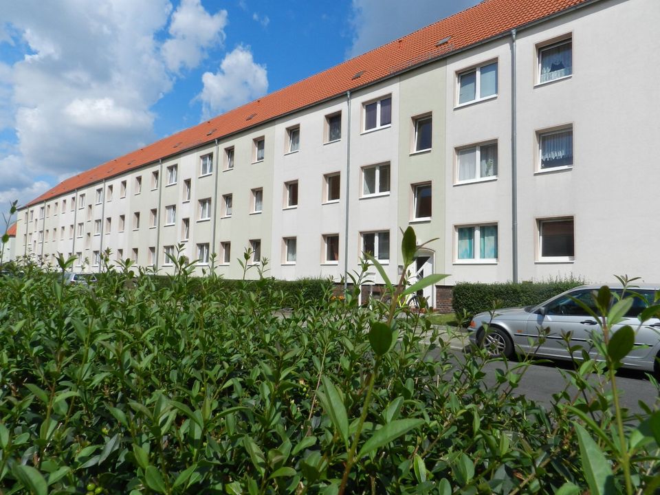 Frisch renovierte 2 Zimmer Wohnung in sanierter, ruhiger Wohnanlage in Dessau-Roßlau