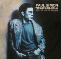 PAUL SIMON ● Vinyl Schallplatte JAZZ ROCK POP R & B MUSIKER  LP Hessen - Darmstadt Vorschau