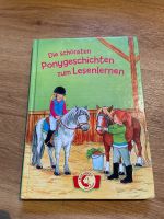 Leselöwen Buch Pony Kreis Ostholstein - Großenbrode Vorschau