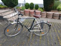 MBK Maloya 28" Trekkingrad Nordrhein-Westfalen - Medebach Vorschau