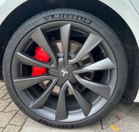 20 Zoll Tesla Performance Felgen Nordrhein-Westfalen - Neuss Vorschau