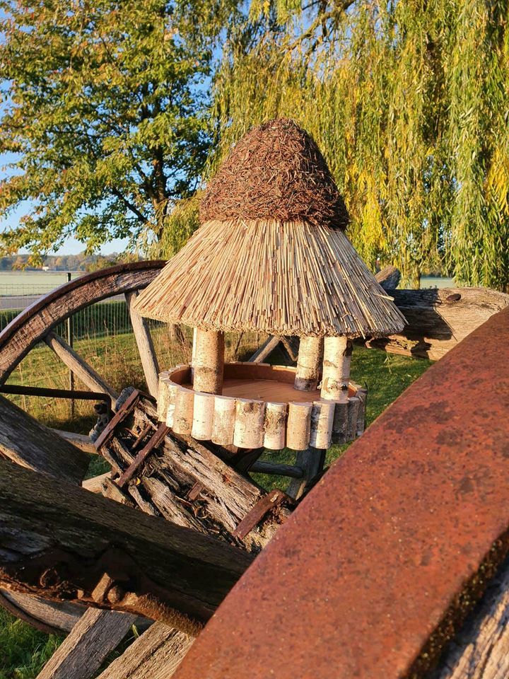 Reetdach Futterhaus Vogel Groß 60cm Handarbeit Birke Wetterfest in Rheda-Wiedenbrück