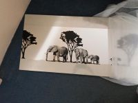 ‼️ WANDSPIEGEL - mit Elefanten Niedersachsen - Dötlingen Vorschau