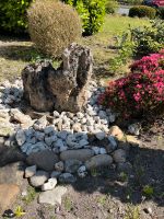 Lavastein Brunnen mit Steinen Nordrhein-Westfalen - Schloß Holte-Stukenbrock Vorschau