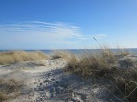 Urlaub am Südstrand auf Fehmarn / Ferienwohnung - ab 45€ / Tag Kreis Ostholstein - Fehmarn Vorschau