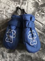 lupilu kinderhandschuhe blau schwarz teddy 2,5 Sachsen - Chemnitz Vorschau