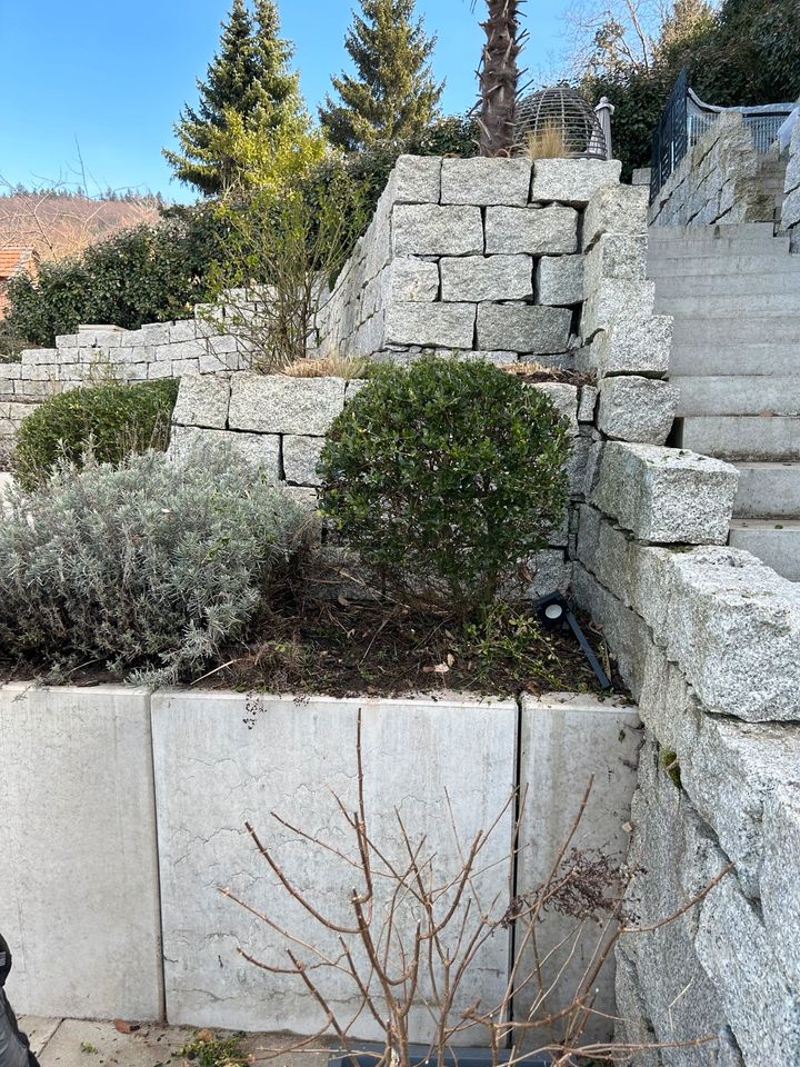 Vermietung Gerüst, Bau-Gartenhelfer uvm. weitere Dienstleistungen in Pfungstadt