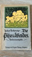 Julius Rothmayr:Pilze des Waldes Eugen Haag Luzern 1920 Sachsen-Anhalt - Ziegelroda Vorschau