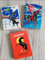 Fury Bücherset Nordrhein-Westfalen - Hückelhoven Vorschau