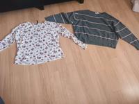 Pullover und Langarm  Shirt Sachsen - Cunewalde Vorschau