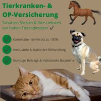 Tierversicherung für Ihre Haustiere - Hunde, Katzen & Pferde Bayern - Deggendorf Vorschau