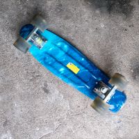 Penny Board Skateboard Kunststoff Sachsen - Radebeul Vorschau