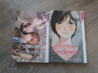 Promise Cinderella von Oreco Tachibana Niedersachsen - Westoverledingen Vorschau