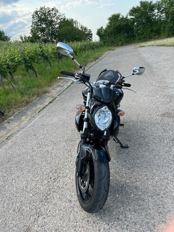 Suzuki Gladius in Untergruppenbach