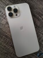 iPhone 13 pro max 1tb  2 Monate gebraucht. Wail Noue gekauft 15 Baden-Württemberg - Leutkirch im Allgäu Vorschau