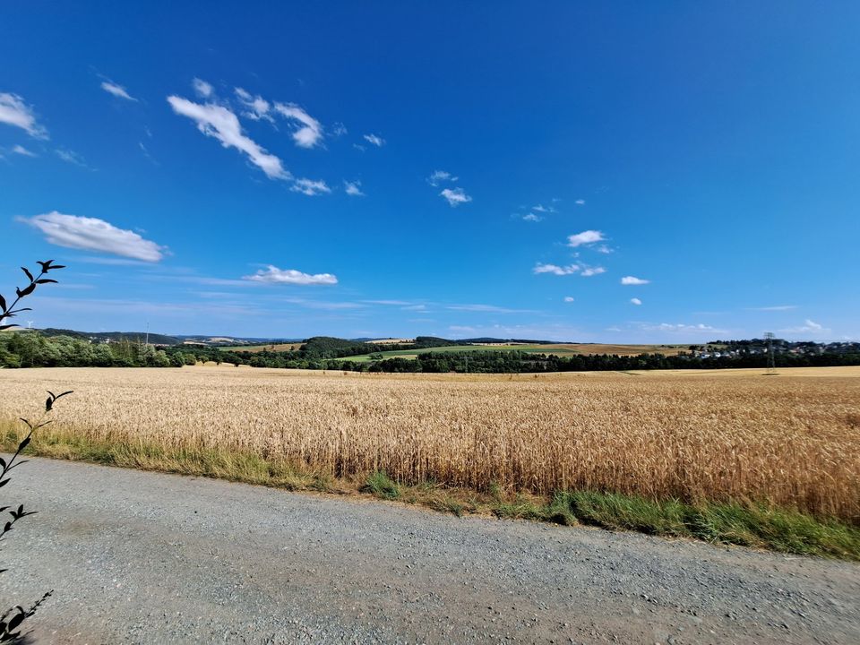 Kleingarten im Dornröschenschlaf sucht motivierte Gärtner in Wilkau-Haßlau