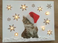 Bild mit Katze beleuchtet Deko Handarbeit Weihnachten Bayern - Eckersdorf Vorschau