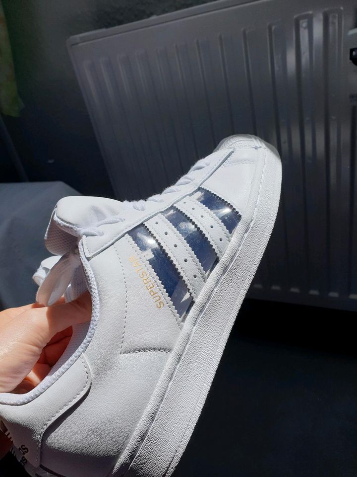 Adidas superstar, Gr. 41 1/3, neu, selten! in Gornsdorf