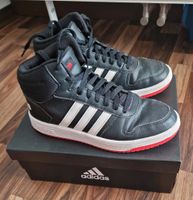 Adidas Sneaker_  Halbschuhe Gr. 38,5_ Top Essen - Essen-Borbeck Vorschau