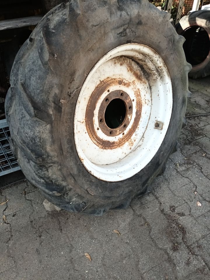 Felgen für 11.2/10R24 in Beindersheim