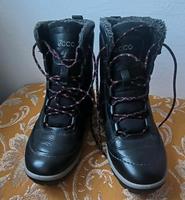 Leder Stiefel Ecco 25 cm Sachsen - Zittau Vorschau