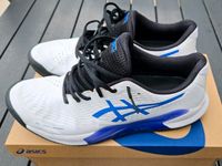 Asics Tennisschuhe Gel-Challenger 14 Clay Hessen - Hofheim am Taunus Vorschau