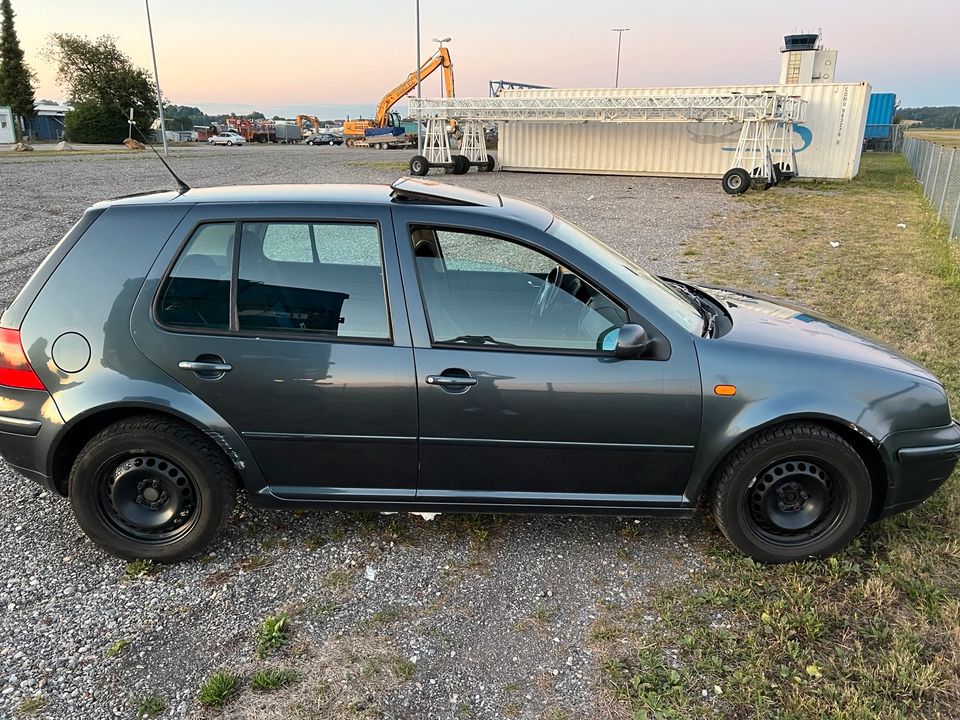 Golf 4 1.6 SR in Lauingen a.d. Donau