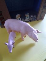 Schleich Schwein mit Ferkel Schleswig-Holstein - Wilster Vorschau