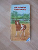 Ich bin das kleine Pony - Großformat - von Amrei Fechner Bayern - Marktoberdorf Vorschau