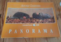 1000 Teile Puzzle, Anne Geddes, Igel Panorama Schleswig-Holstein - Boostedt Vorschau