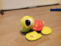 Fisher price Schildkröte Nordrhein-Westfalen - Werne Vorschau