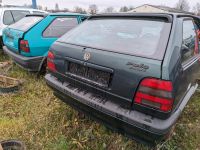 Schlachtfest VW Polo 86c Grün LC6U, LP6M Nordrhein-Westfalen - Gronau (Westfalen) Vorschau