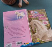 Jugendbuch "Mein magisches Pony - Flügel im Wind" *neuwertig* Bayern - Dettelbach Vorschau