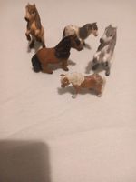 Schleich pony Nordrhein-Westfalen - Anröchte Vorschau