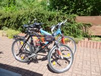 MTB Bergamont  /  MTB Kettler     Damen und Herren Bikes Westerwaldkreis - Borod Westerwald Vorschau