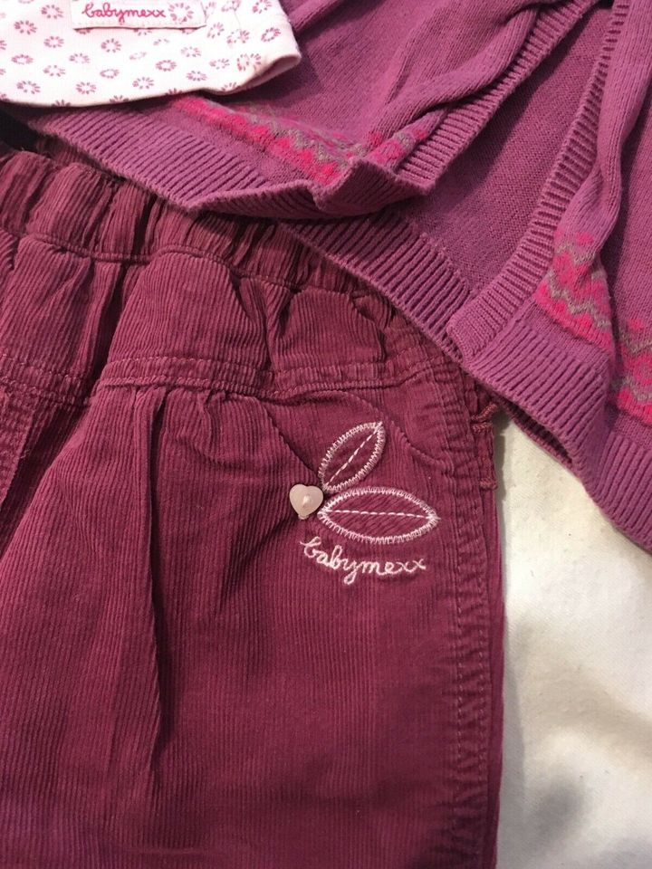 Baby Mexx Set Cordhose Strickjacke Shirt Brombeere Reh Gr. 68 in Schwalmstadt