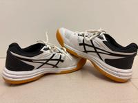 Asics Hallenschuhe (Unisex, 37.5) Niedersachsen - Seevetal Vorschau