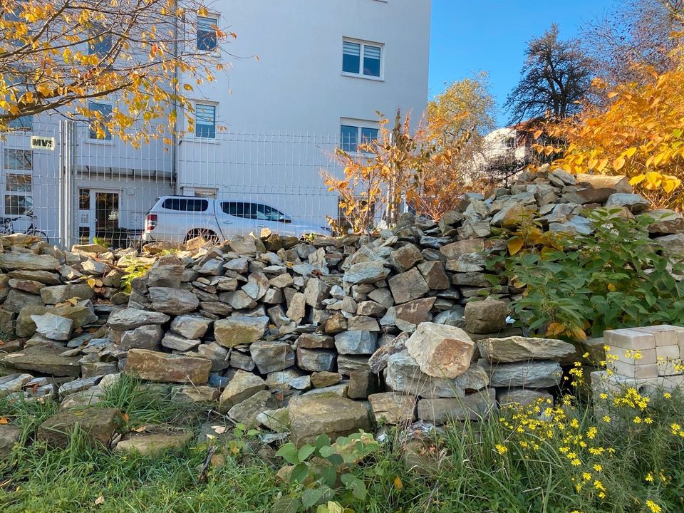 SANDSTEINE Bruchsteine Natursteine Mauer Garten in Dresden